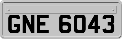 GNE6043