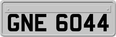 GNE6044