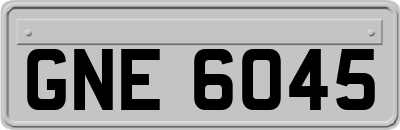 GNE6045