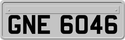 GNE6046