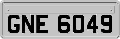 GNE6049