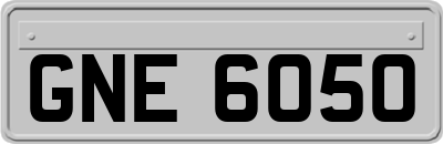 GNE6050