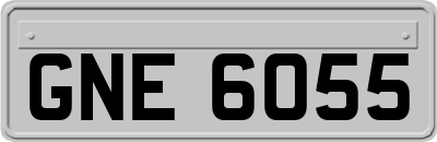 GNE6055
