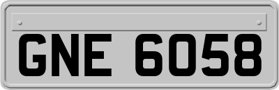 GNE6058