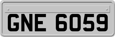 GNE6059