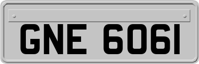 GNE6061