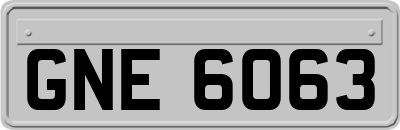 GNE6063