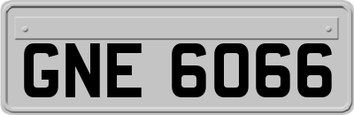 GNE6066