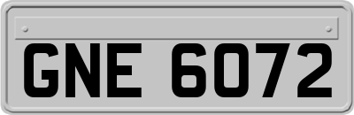 GNE6072