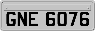 GNE6076