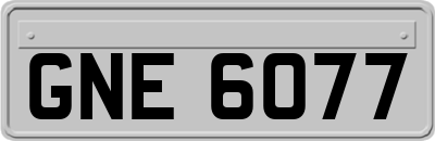 GNE6077