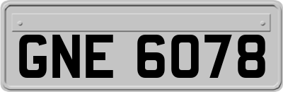 GNE6078