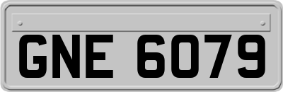 GNE6079