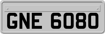 GNE6080