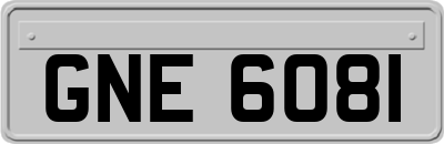GNE6081