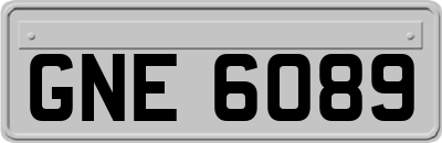 GNE6089