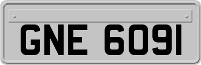 GNE6091
