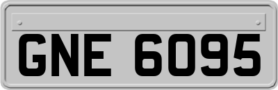 GNE6095