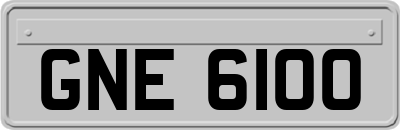 GNE6100