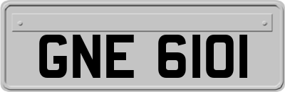 GNE6101
