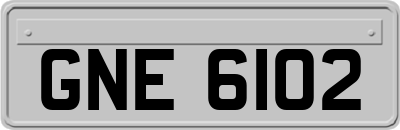 GNE6102