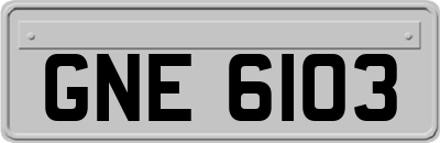 GNE6103
