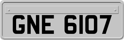 GNE6107