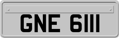 GNE6111