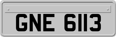 GNE6113