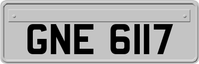 GNE6117