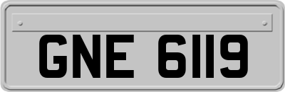 GNE6119