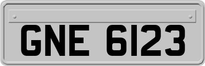 GNE6123