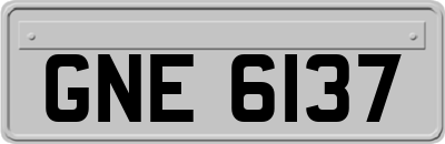 GNE6137