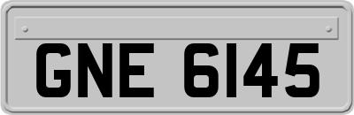 GNE6145