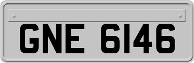 GNE6146