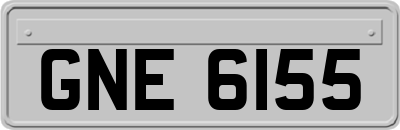 GNE6155
