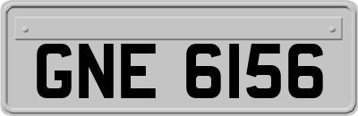 GNE6156