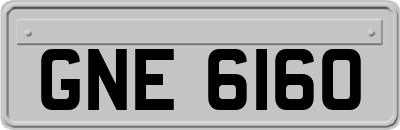 GNE6160