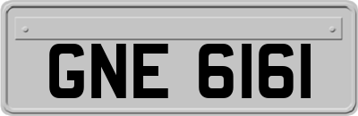 GNE6161