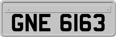 GNE6163