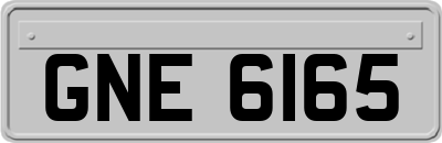 GNE6165