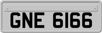 GNE6166