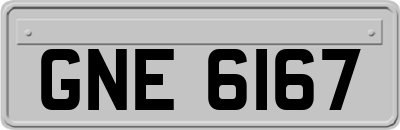 GNE6167