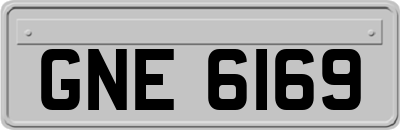 GNE6169