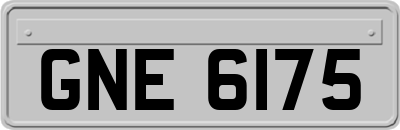 GNE6175