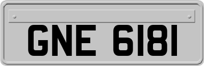 GNE6181