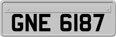 GNE6187