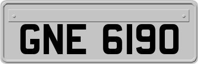 GNE6190