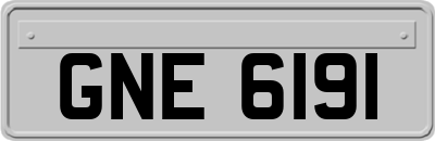 GNE6191