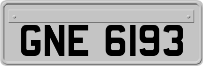 GNE6193